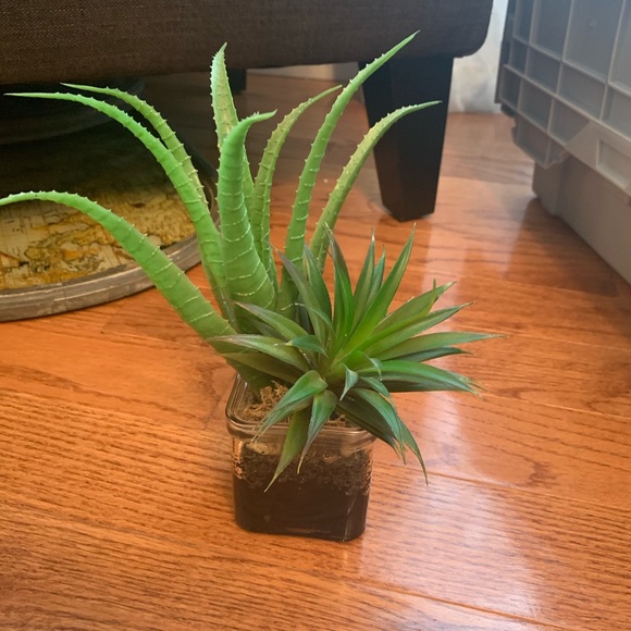 Artificial succulents in glass jar - Picture 2 of 3